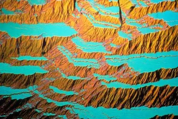 15293576850908010c6397e