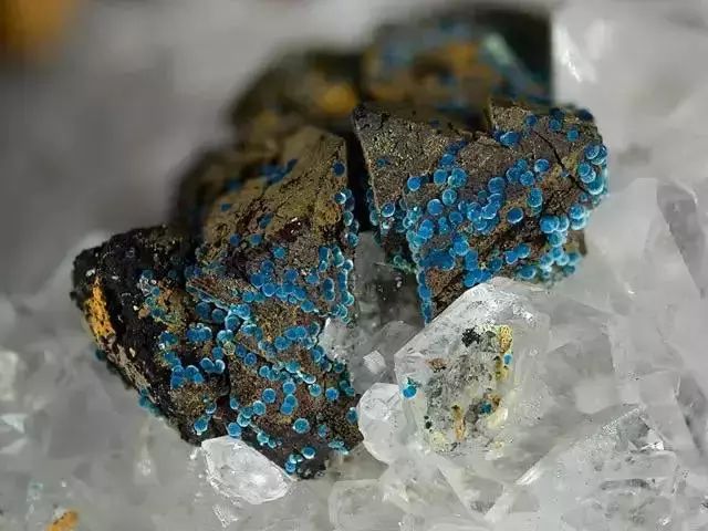 15293576888812517ddb579