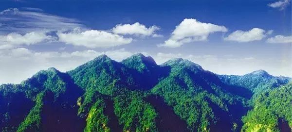 1528013244389792377094b