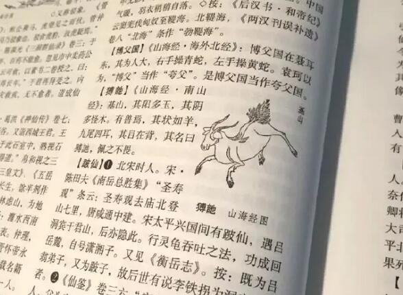 1534475846851d24ac30f28