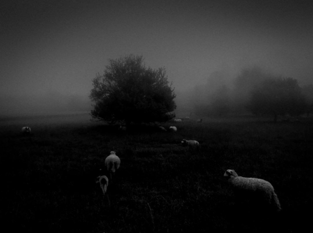 15320156118504b4db06761