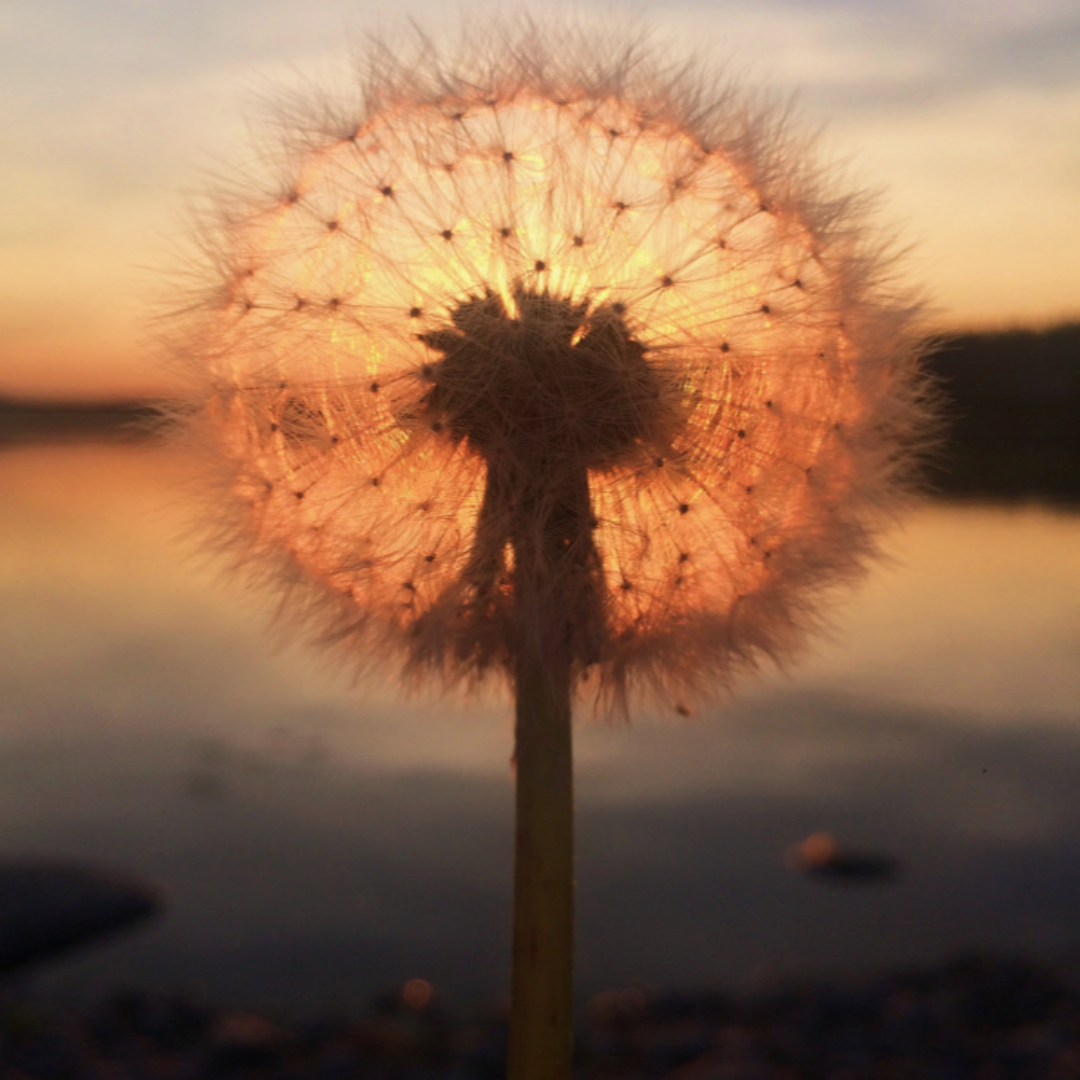 15320156127634e775a50d7