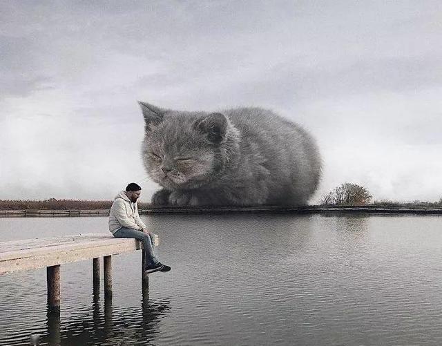 当他养了一只3米高的猫，治愈了整个世界