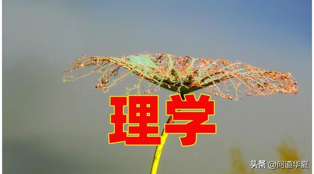 周道长对老子“一二三万”的解释，乍听神秘玄幻，细琢磨很受益