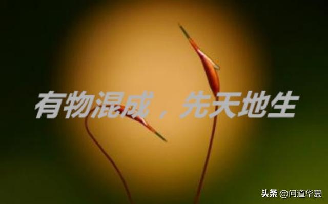 周道长对老子“一二三万”的解释，乍听神秘玄幻，细琢磨很受益