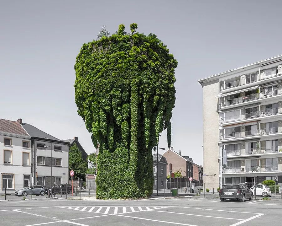 1530157250186c1d8c382c5