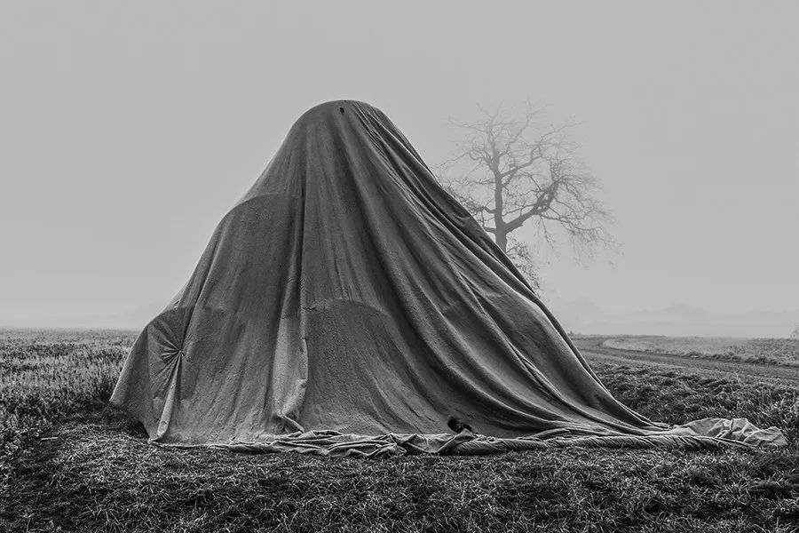 15301572569802575cc7ead