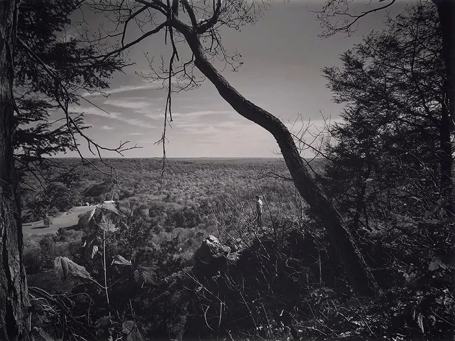 1530157264641b24f64151b