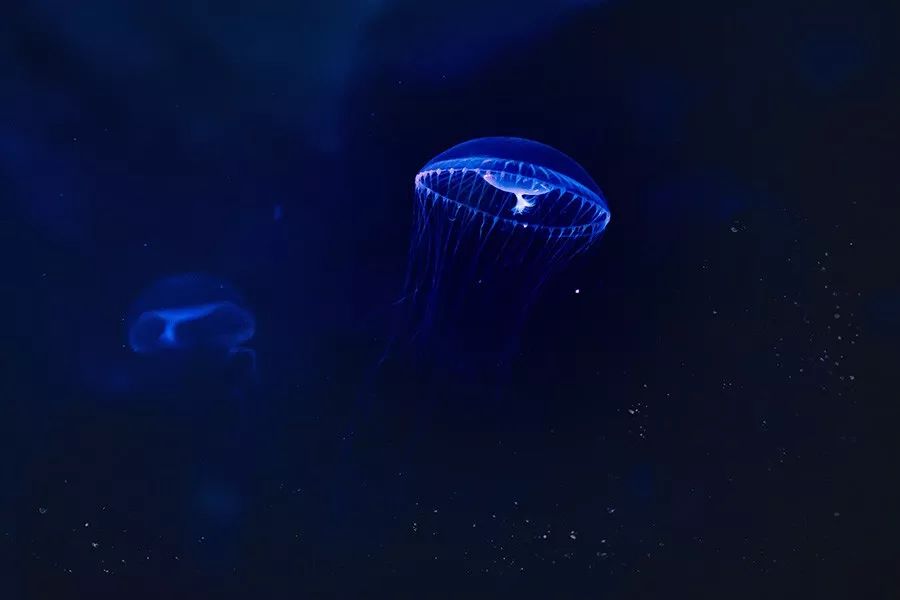 1530157268574d6a6647b6d