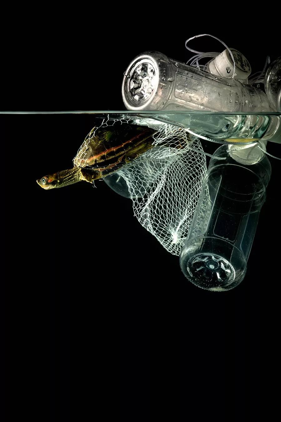 15301572661028e187e5358