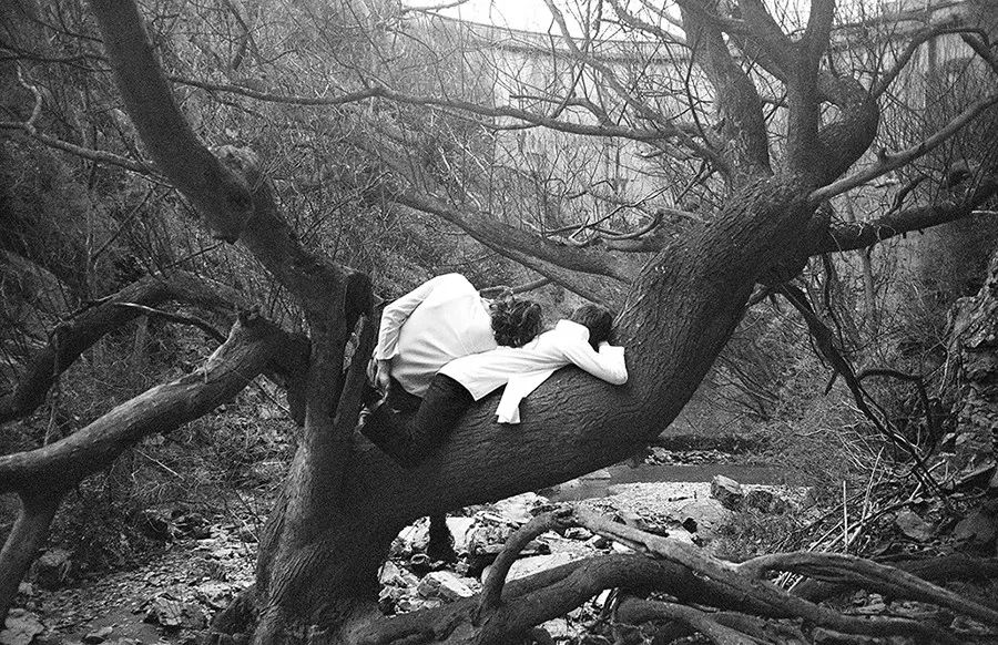 1530157268226d82b799aed