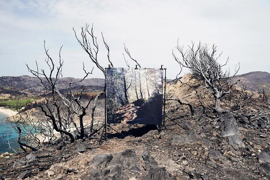 1530157269533dc3982d749