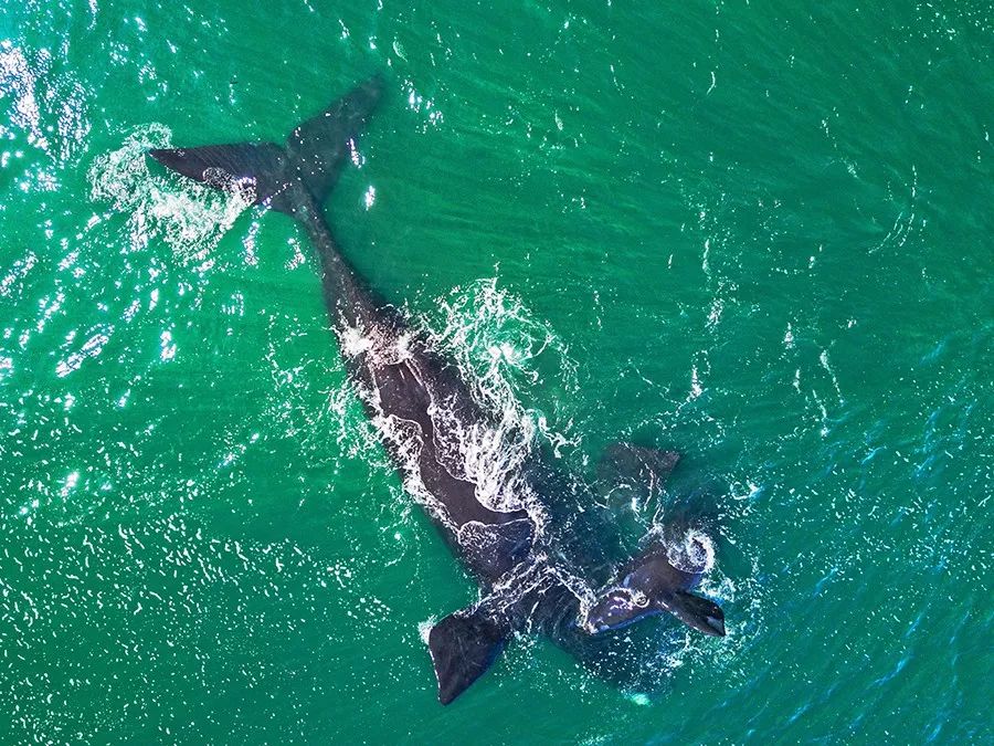 1530157270549632da59f3e