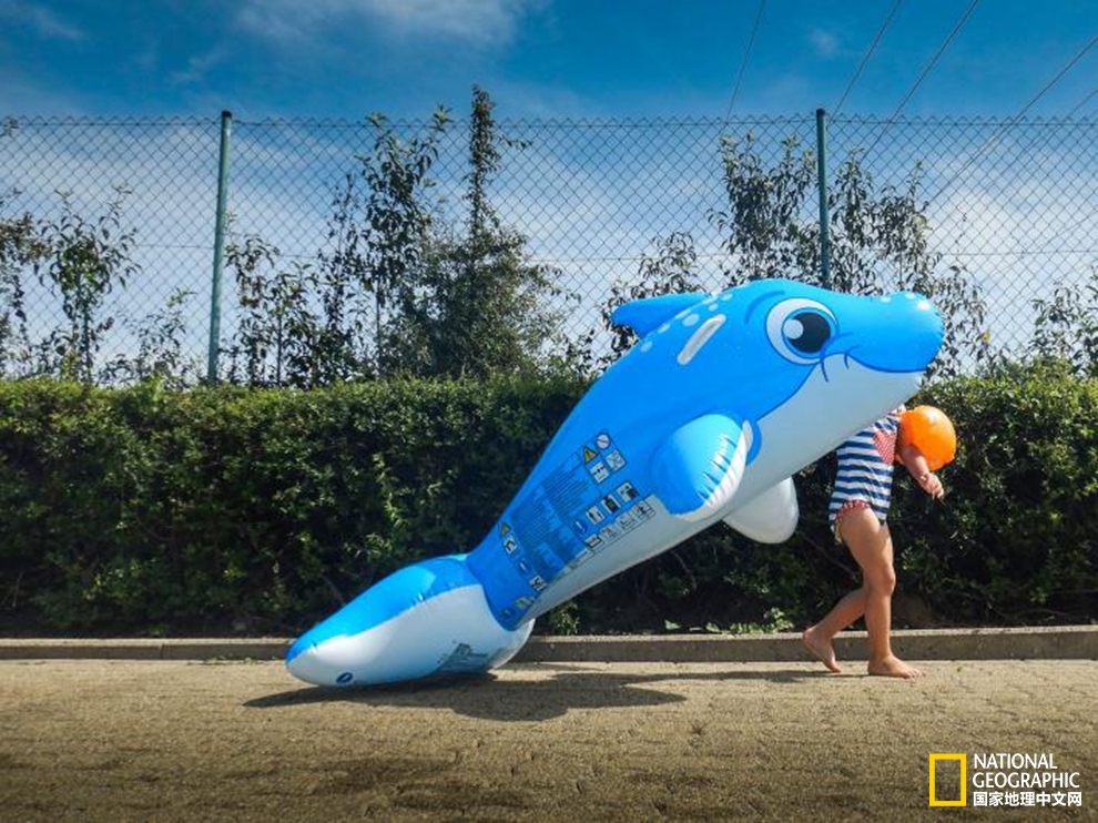 1528881674341a612e42953