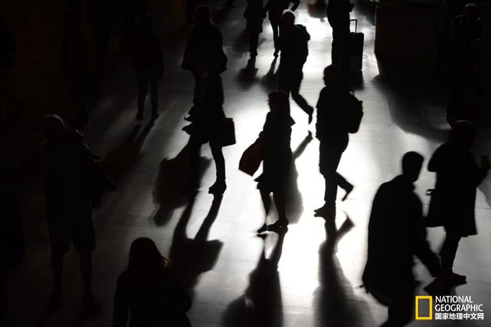 15288816755354f2f6b822a