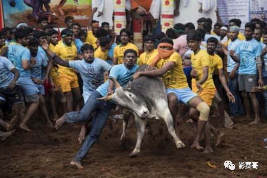 15310508055353584203dad