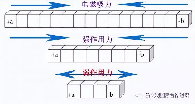 科学家已发现12种极限粒子（绝对基本粒子）