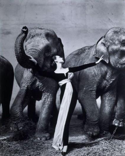 1张照片卖780万，她比赫本更有气质，却被家暴离婚，63岁孤独离世