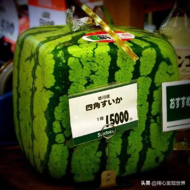 日本低欲望社会有多可怕？不结婚、不生子、不社交