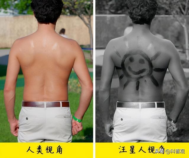 人类眼睛的秘密：人眼像素高达5.76亿，这到底意味着什么？