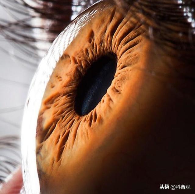 人类眼睛的秘密：人眼像素高达5.76亿，这到底意味着什么？