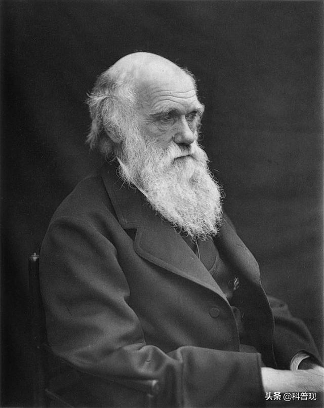 人类眼睛的秘密：人眼像素高达5.76亿，这到底意味着什么？