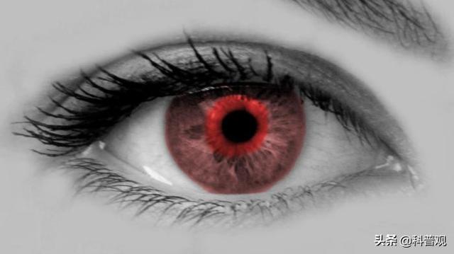 人类眼睛的秘密：人眼像素高达5.76亿，这到底意味着什么？