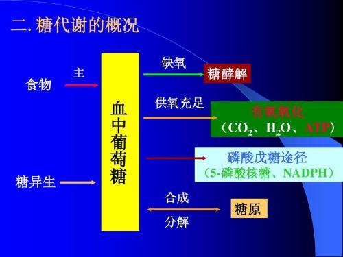 人体的三大能量系统，了解它们才能更好地帮助你训练