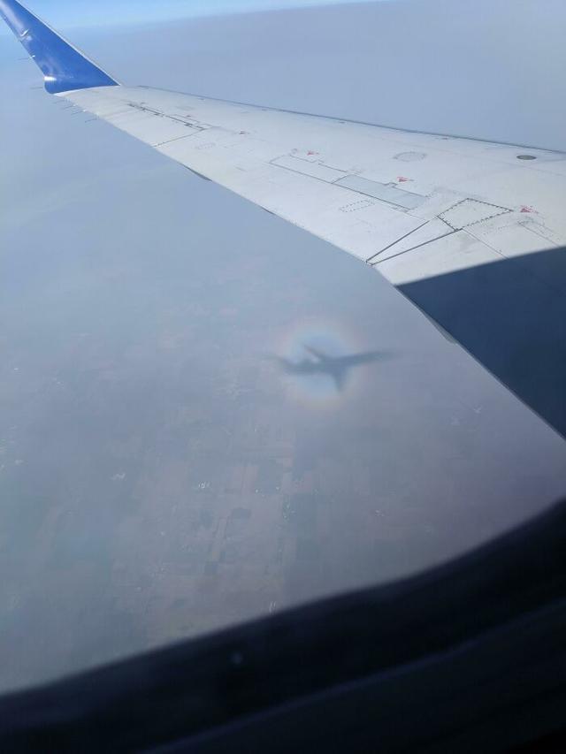 48个令人称奇的真实照片，有趣巧妙的影子，存在于普通日常生活中