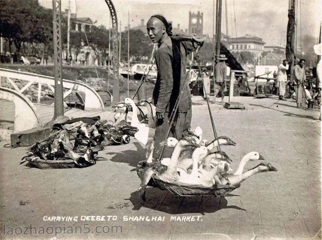 1921年中国人生活老照片 北京上海苏州等地风貌（上）