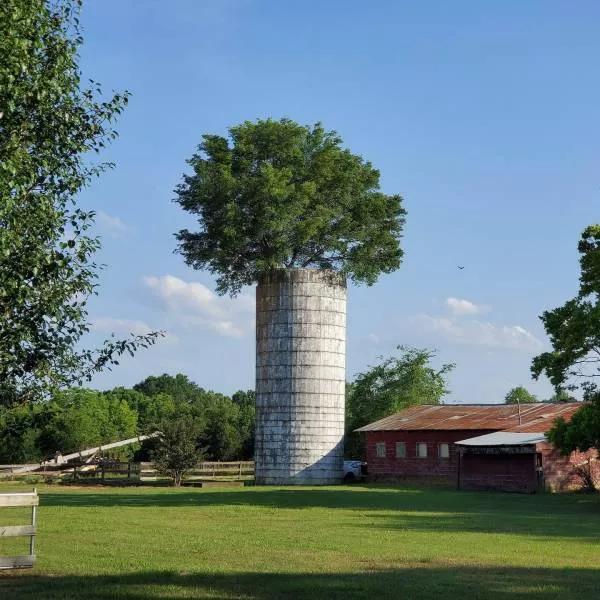 50张难得一见图片：沙漠挑山工，老年人化妆重要性，日出遇到日食