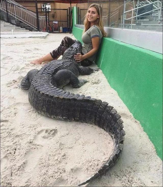 50张难得一见图片：沙漠挑山工，老年人化妆重要性，日出遇到日食