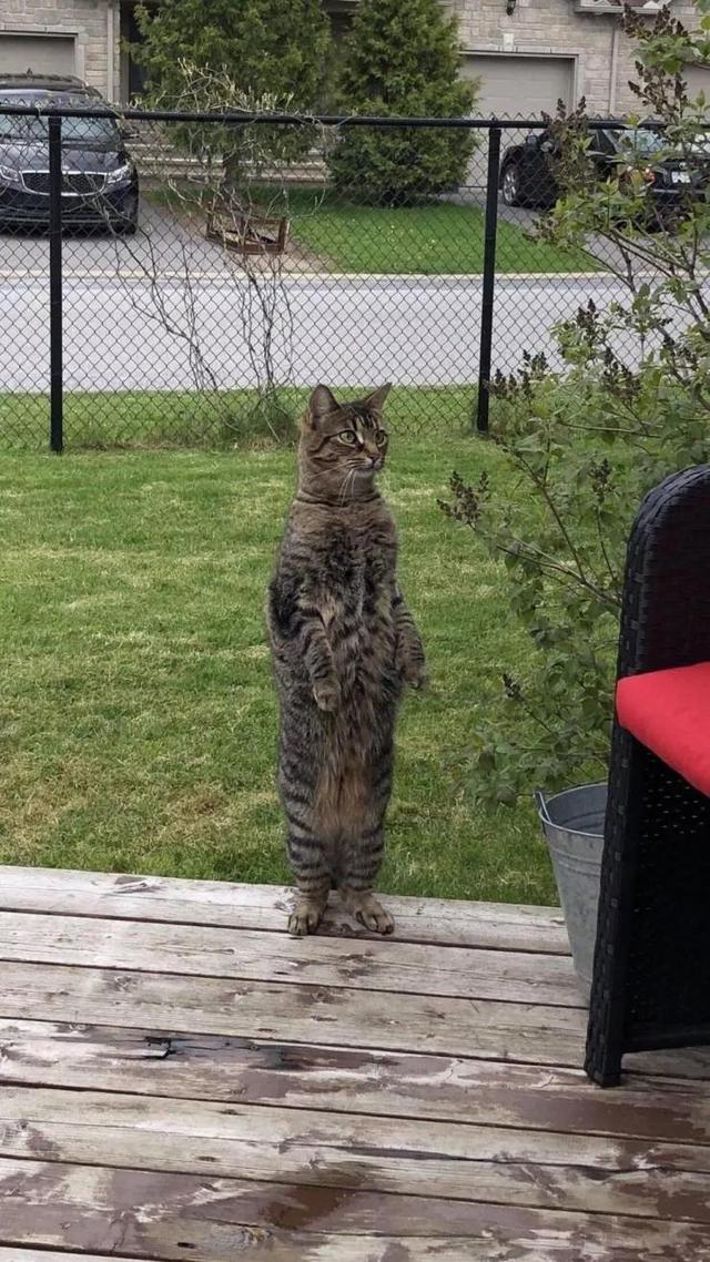 50张难得一见图片：沙漠挑山工，老年人化妆重要性，日出遇到日食