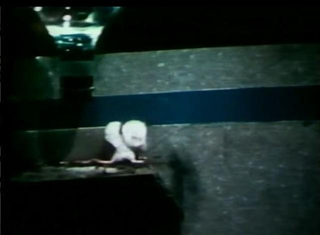 在人造“天堂”里，老鼠560天后走向灭亡，这就是安逸的结局？