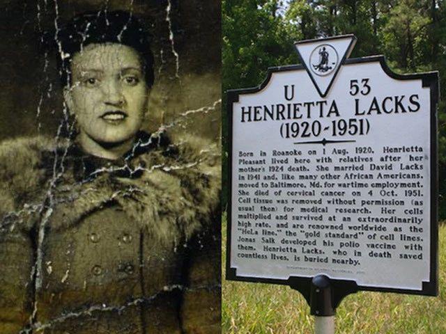 永生的海拉：拥有不死细胞的女人，繁衍细胞质量等同10座帝国大厦