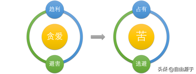 《洞见》：为什么佛学是真的