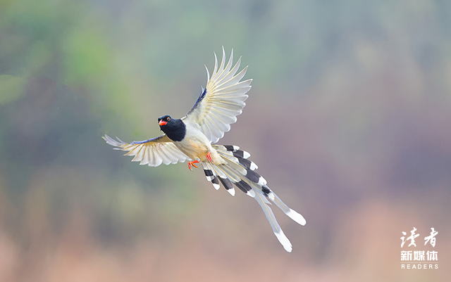 10个心理真相，看完疗愈你80%的焦虑