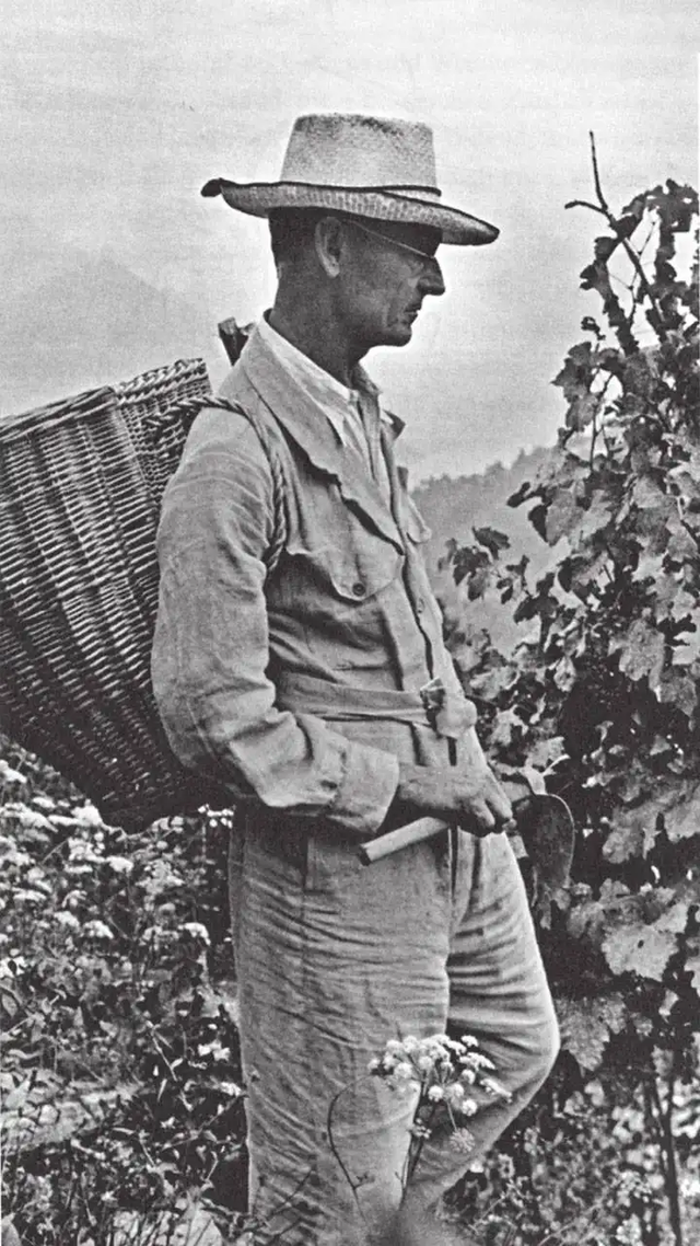 《悉达多》：人生就是一场修行，认识自己，成为自己，放过自己