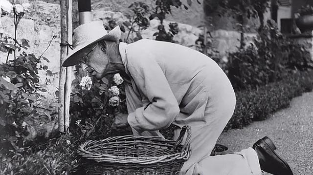 《悉达多》：人生就是一场修行，认识自己，成为自己，放过自己