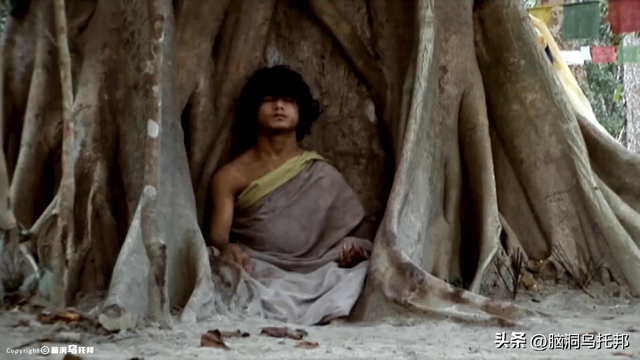 灵修少年打坐6年不吃不喝，多名信徒离奇失踪，轰动全球