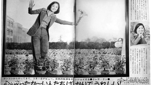 曾是间谍？死因扑朔迷离？歌曲在大陆禁播？深扒邓丽君的重重谜团