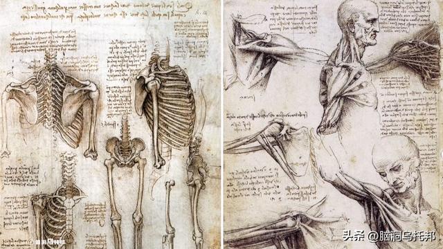 达芬奇：一位被严重低估的预言家！500年前就看到了人类的结局！