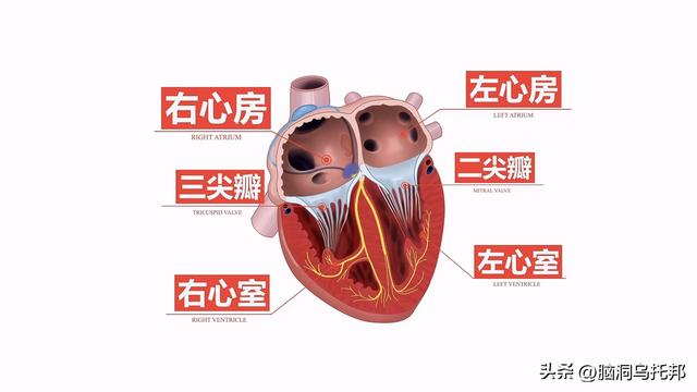 达芬奇：一位被严重低估的预言家！500年前就看到了人类的结局！