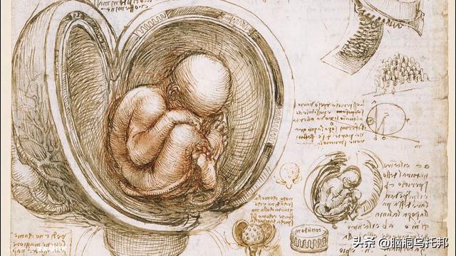 达芬奇：一位被严重低估的预言家！500年前就看到了人类的结局！