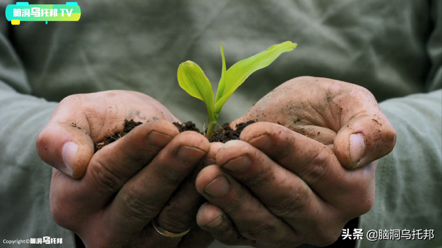 颠覆三观!这是改变你一生的影片,信念生物学：基因以外的生命奥秘