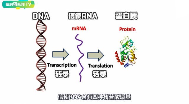 解密上古奇书《易经》它所预测未来和蕴含宇宙奥秘震惊西方学界