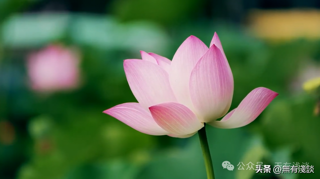 黄帝的四季睡眠大法，看看你睡对了吗？