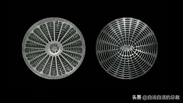 这个男人测量过金字塔，并暗示了他发现的秘密 | 432Hz