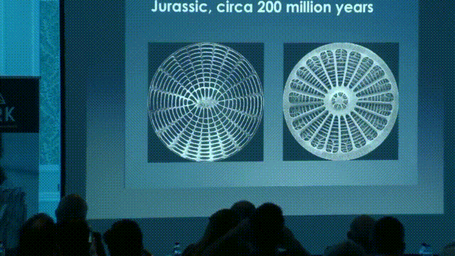 这个男人测量过金字塔，并暗示了他发现的秘密 | 432Hz