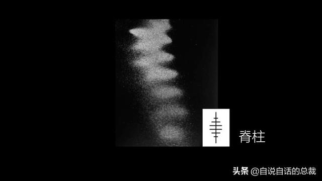 这个男人测量过金字塔，并暗示了他发现的秘密 | 432Hz